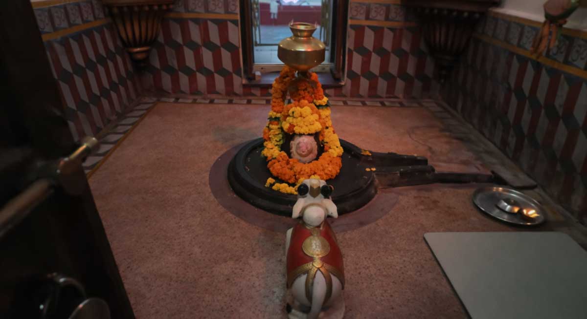 shri nityanand ashram dhar shiva linga