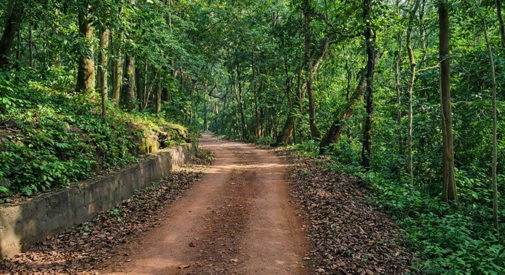 kanger valley national park jagdalpur madhya pradesh