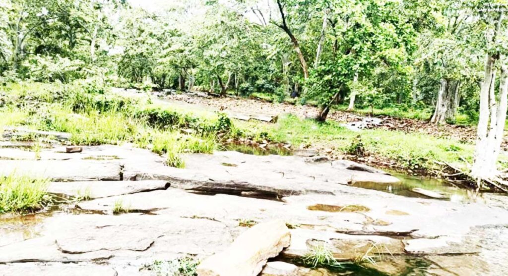 kathotiya jungle camp india