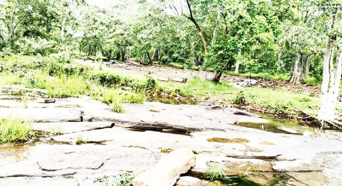 kathotiya jungle camp india