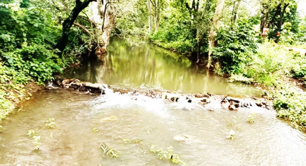 kathotiya jungle camp madhya pradesh