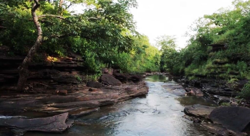 kathotiya jungle camp mp