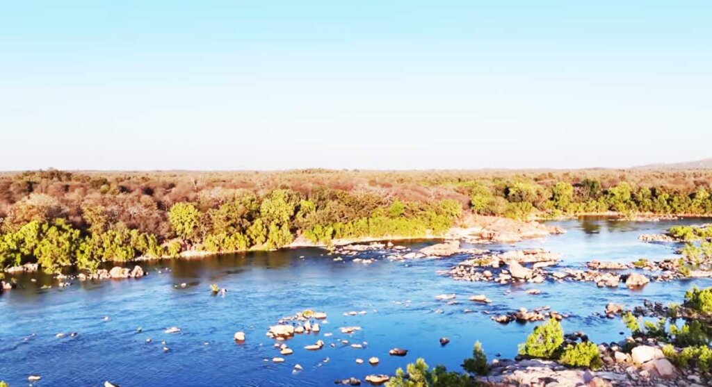 betwa river origin madhya pradesh