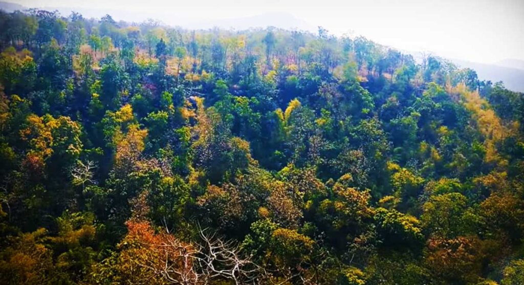 delawadi ghat sehore