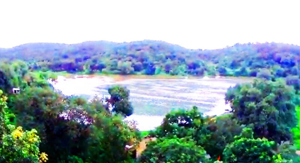 kotra narsinghgarh rajgarh mp