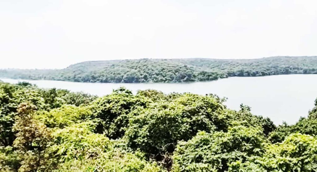 narsinghgarh wildlife sanctuary chidikhoh rajgarh india