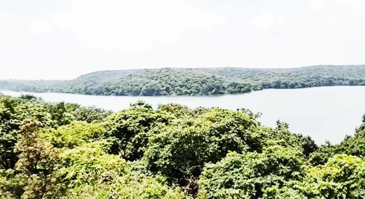 narsinghgarh wildlife sanctuary chidikhoh rajgarh india