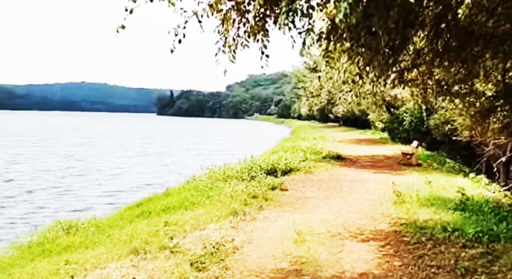 narsinghgarh wildlife sanctuary chidikhoh rajgarh mp