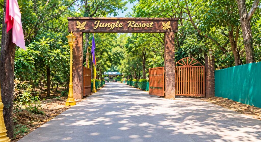 udaygiri eco jungle camp vidisha